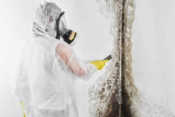 Best Crawl Space Mold Removal  in Rinna, VA