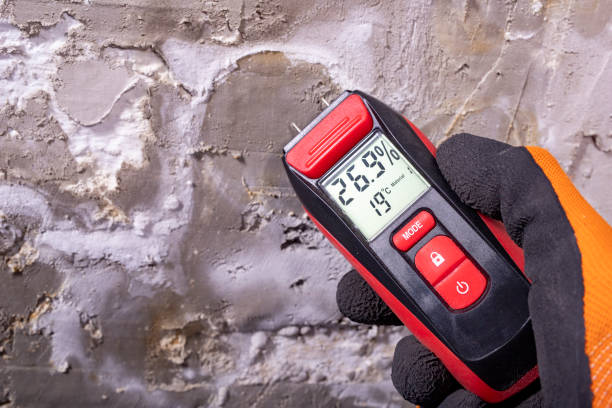 Best Fast Mold Removal  in Rinna, VA