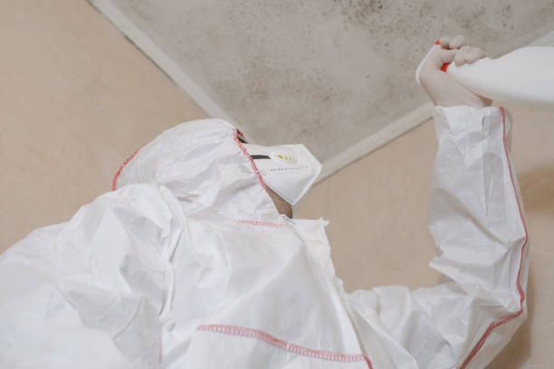 Mold Testing and Removal in Rivanna, VA